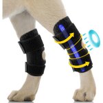 Ceinture de maintien des pattes arri�re du chien