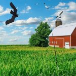 Cerf - volant anti - oiseaux �pouvantail � oiseaux extensible avec barre t�lescopique de 5 m repousseur ...