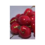 Le jardin du pic vert - cerisier 'gant d'hedelfingen' pot de 7, 5l / 10l, gobelet