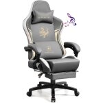 Gtplayer - chaise gaming, ergonomique chaise bureau dragon series avec haut - parleur bluetooth et repose ...