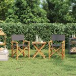 Vidaxl - chaises de metteur en scne pliantes lot de 2 bois teck massif