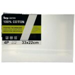 Ch�ssis - toile - 33x22cm - 4p - coton - acrylique - huile - gouache - berge entry