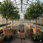 Chauffage �lectrique pour serre avec thermostat 2 kw