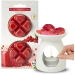 Chauffe - cire parfum� confiture de groseilles de no�l cadeau d'anniversaire