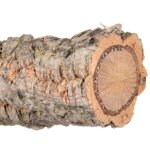 Ch�ne - li�ge xl - perchoir naturel pour grands perroquets