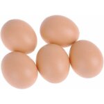 Chicken coop lot de 5 fausses ?ufs en plastique pour poules