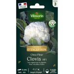 Chou - fleur clovis f1 - graines d'exception vilmorin Chou - fleur clovis f1 - graines d'exception vilmorin