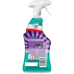 Cillit bang expert spray nettoyant et d�sinfectant 750 ml