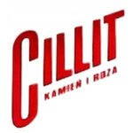 Cillit bang tablettes de nettoyage pour wc au parfum de for�t de pins 6 pcs.