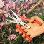 Ciseaux � �claircir les fruits et les fleurs � double port, s�cateur de jardin ciseaux avec poign�e confortabl ...