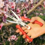 Ciseaux  claircir les fruits et les fleurs  double port, scateur de jardin ciseaux avec poigne confortabl ...