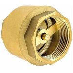 Clapet anti - retour de 1 1 / 2 pouce en laiton robuste de haute qualit, antirouille et tanche pour ...