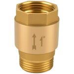 Clapet anti - retour 1 , clapet anti - retour des eaux us�es en laiton, inoxydable et �tanche 1 pouce ...