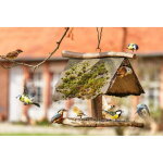 Claus futterrosinen f�r wildv�gel - raisins sultanes pour tous les oiseaux 750g