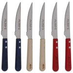 Coffret 6 couteaux grill bleu blanc rouge - jean dubost Coffret 6 couteaux grill bleu blanc rouge - jean dubost