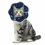 Jalleria - collerettes pour chat anti - morsure protection ajustable collier de rcupration comfy cone ...