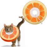 Collerettes pour chats chiens collier de protection confort ajustable collerette de postopratoire rcupratio ...