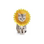 Memkey - collerettes pour chiens chat anti - morsure protection ajustable collier de rcupration comfy ...