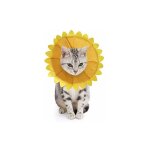 Collerettes pour chiens chat anti - morsure protection ajustable collier de récupération comfy cone pour ... Collerettes pour chiens chat anti - morsure protection ajustable collier de récupération comfy cone pour ...