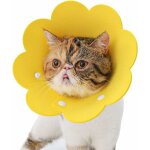 Memkey - collier pour animaux de compagnie collier anti - léchage collier de protection collier chat ... Memkey - collier pour animaux de compagnie collier anti - léchage collier de protection collier chat ...