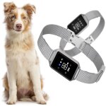 Collier anti - aboiements �lectrique pour chien avec �cran tactile et fonction silencieuse