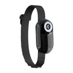 Derrui - caméra pour chat, 8 go de mémoire, sans fil, hd 1080p pour animaux de compagnie Derrui - caméra pour chat, 8 go de mémoire, sans fil, hd 1080p pour animaux de compagnie