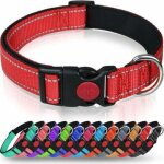 Collier pour chien, collier classique r�glable en nylon r�fl�chissant avec rembourrage en maille douce ...
