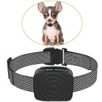 Collier pour chiens de petite / moyenne taille, 5 - 15 lbs, sans choc, rechargeable, collier anti - aboiement ...