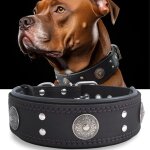 Collier gros chien, en cuir vrai de 5 cm de largeur, artisanal, robuste, doux, luxueux, attirant l'?il ...