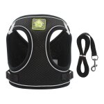 Ugreat - colliers, harnais et laisses pour chats harnais chaton anti vasion rflchissant rglable harnet ...