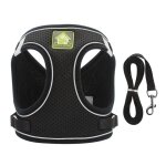 Tuserxln - colliers, harnais et laisses pour chats harnais chaton anti vasion rflchissant rglable ...