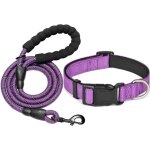 Collier et laisse rflchissante pour chien, collier rglable, laisse en nylon durable pour chiens de ...