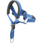 Collier de t�te pour animaux de compagnie, licol pour chiens, collier anti - traction pour chiens