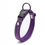 Collier violet pour grands chiens strong truelove 3xl