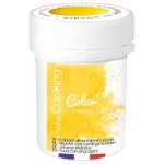Colorant alimentaire en poudre jaune 5 g - scrapcooking