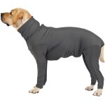 Combinaison anti - mue pour chien, body int�gral pour animaux de compagnie, combinaison de convalescence ...