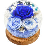 Composition florale �ternelle sous globe led, roses stabilis�es, pr�sentoir �l�gant pour occasions sp�ciales ...