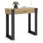Console 1 tiroir phoenix bois et noir