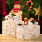 Lot de 3 botes cadeaux blanches, coffrets cadeaux clairs, pelouse de jardin, botes dcoratives en ...