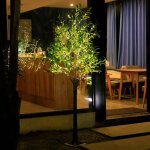 Olivier illuminé led 60cm 31 led blanc chaud, arbre lumineux led usb avec feuilles et télécommande, plantes ... Olivier illuminé led 60cm 31 led blanc chaud, arbre lumineux led usb avec feuilles et télécommande, plantes ...