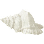 Coquillage d�co  evasion  25cm blanc
