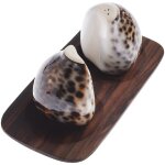 Coquillage - duo salire et poivrier en coquillage naturel - 6. 5cm - fait main - pices uniques - finition ...