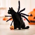 Costume d'araignée d'halloween pour chien chat, costume d'halloween pour animaux de compagnie décorations ... Costume d'araignée d'halloween pour chien chat, costume d'halloween pour animaux de compagnie décorations ...
