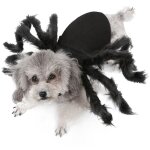 Costume d'araignée pour halloween, pour petits chiens et chats Costume d'araignée pour halloween, pour petits chiens et chats