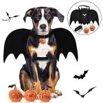 Costume de chien de chauve - souris halloween, ailes de batte de chien / costumes de dguisement de chien ...