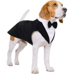 Costume chien smoking mariage, bandana n?ud papillon chemise, crmonie grand moyen chien