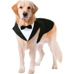 Costume de f�te pour chien, bandana assorti, id�al mariage, photo ou c�l�bration, style raffin�.