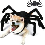 Costumes d'halloween pour chien - costume d'araigne pour fte d'halloween, pour chiens de taille moyenne ...
