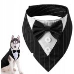 Costume avec n?ud pour chien chat velcro universel tenue �l�gante taille m