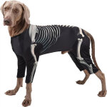 Costume de squelette pour chiens de taille moyenne l